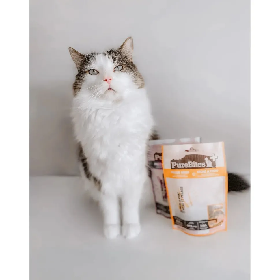PureBites Plus Skin & Coat Freeze-Dried Cat Treats 1.09-oz