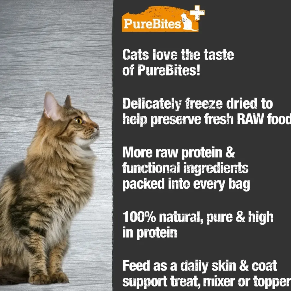 PureBites Plus Skin & Coat Freeze-Dried Cat Treats 1.09-oz