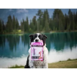 PureBites Salmon Freeze-Dried Pure Dog Treats 2.47-oz