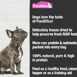 PureBites Salmon Freeze-Dried Pure Dog Treats 2.47-oz