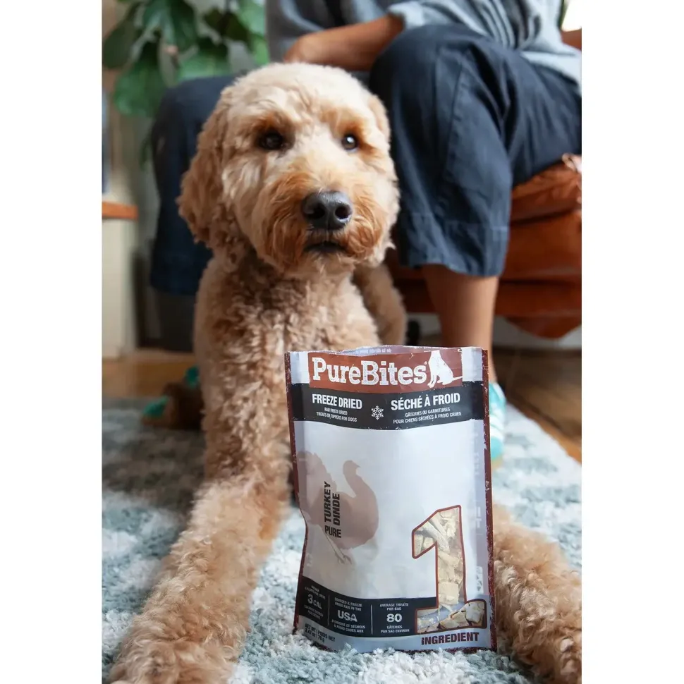 PureBites Turkey Breast Freeze-Dried Dog Treats 2.47-oz