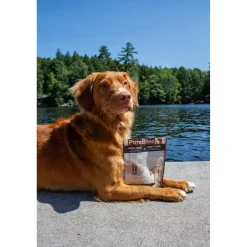 PureBites Turkey Breast Freeze-Dried Dog Treats 2.47-oz
