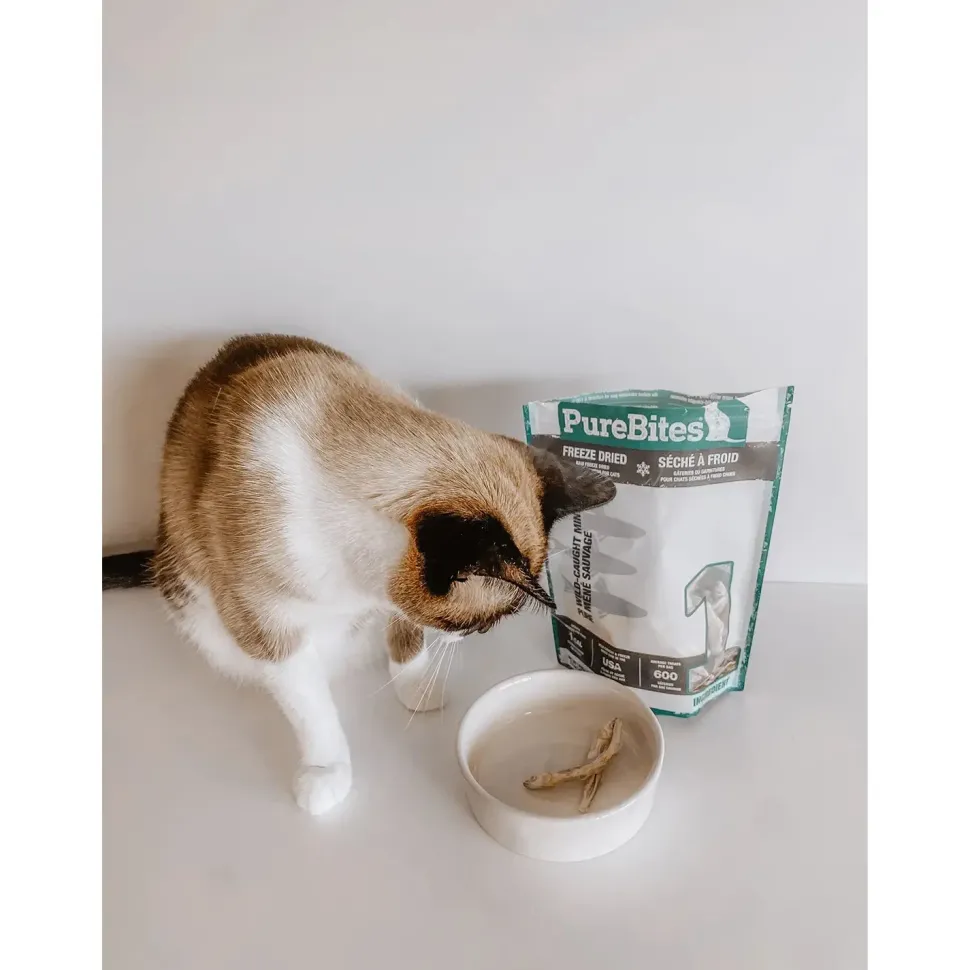 PureBites Wild-Caught Minnow Freeze-Dried Pure Cat Treats 1.09-oz