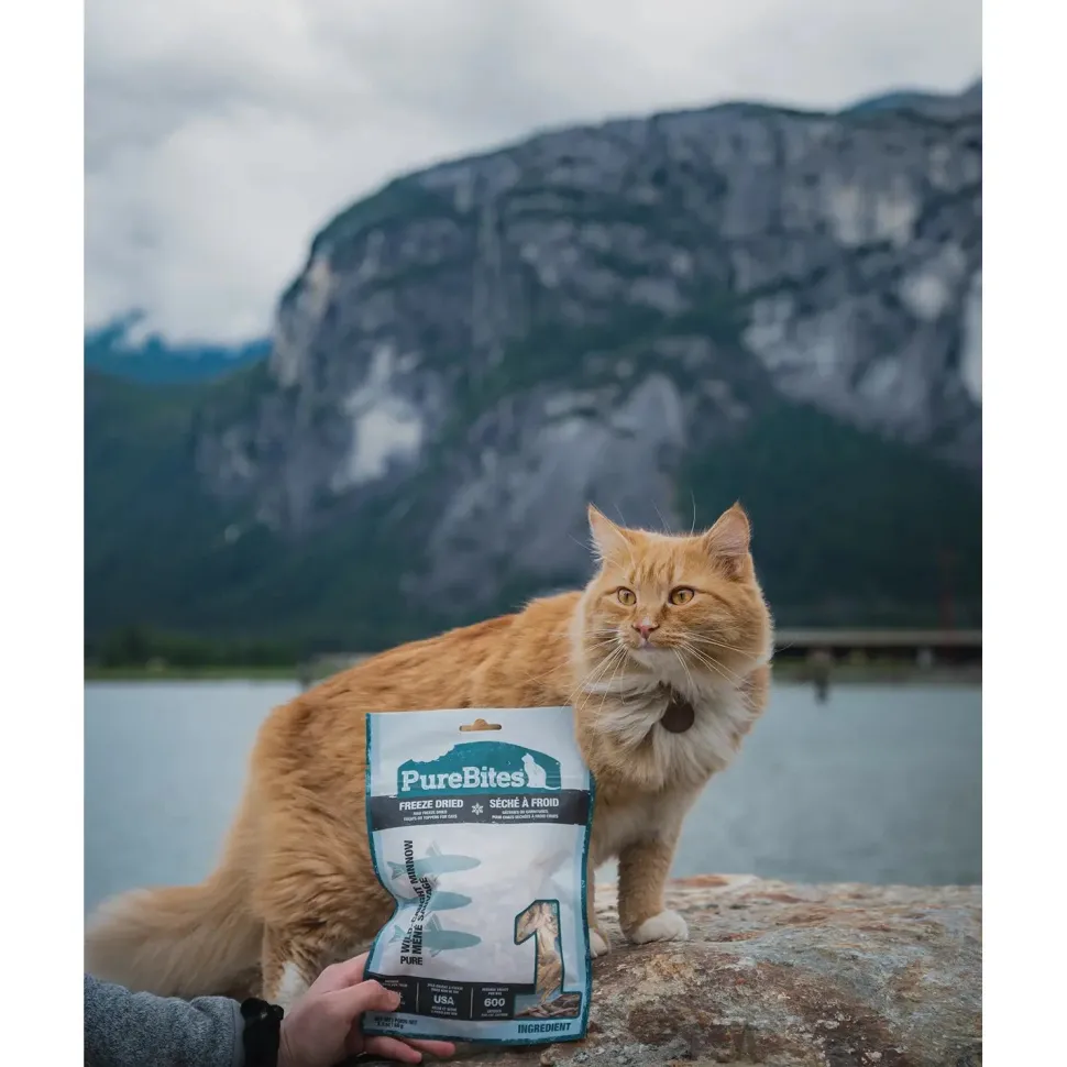 PureBites Wild-Caught Minnow Freeze-Dried Pure Cat Treats 1.09-oz