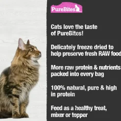 PureBites Wild-Caught Salmon Freeze-Dried Pure Cat Treats 2-oz
