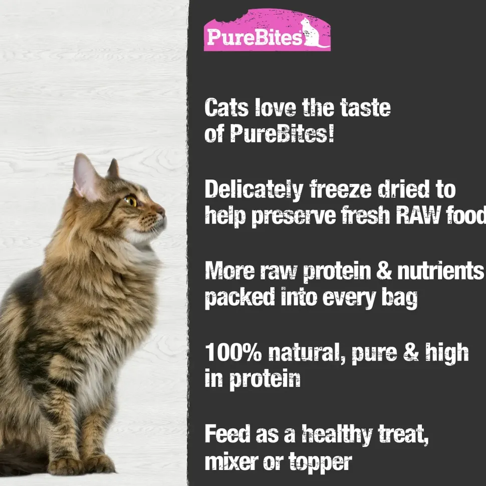 PureBites Wild-Caught Salmon Freeze-Dried Pure Cat Treats 2-oz