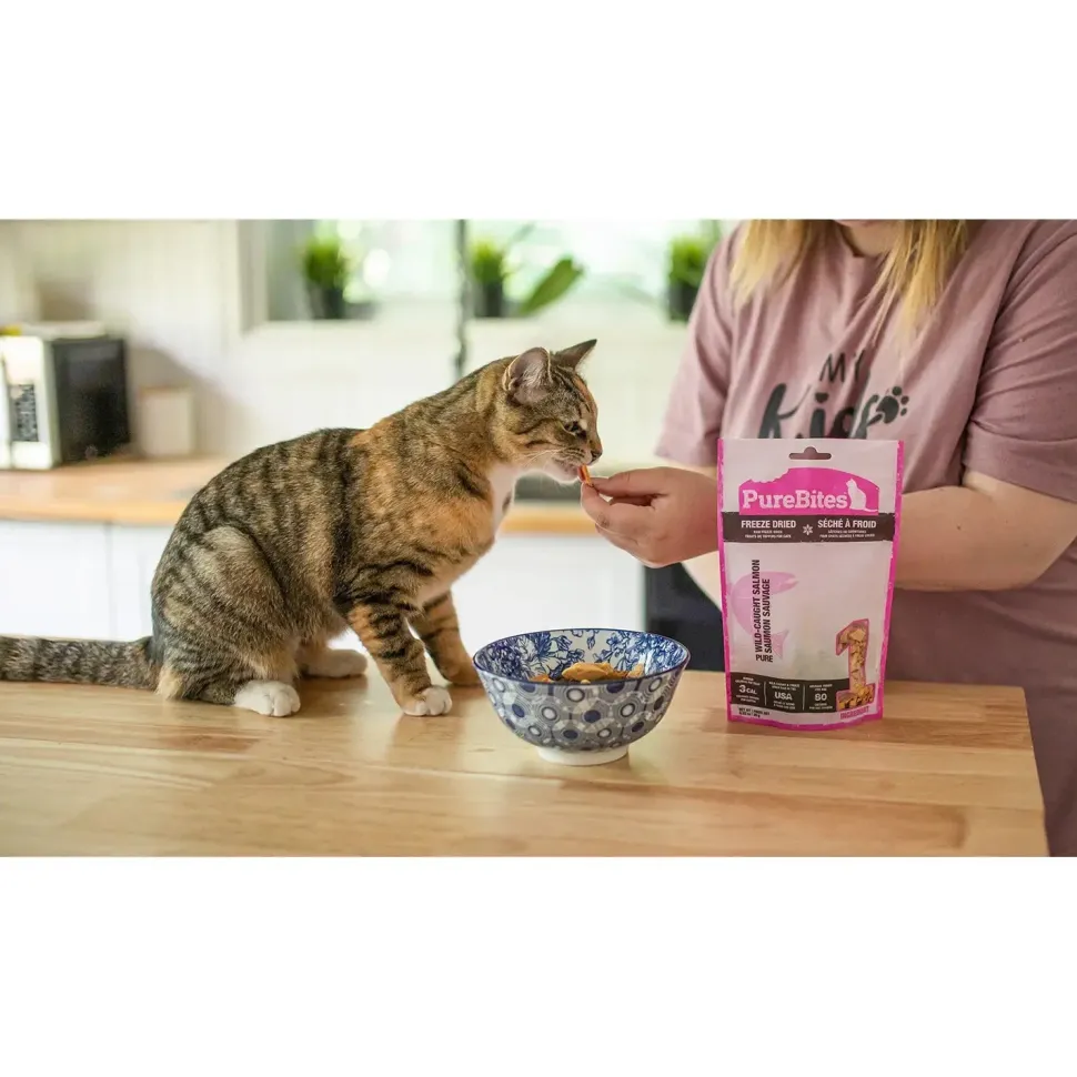 PureBites Wild-Caught Salmon Freeze-Dried Pure Cat Treats 2-oz