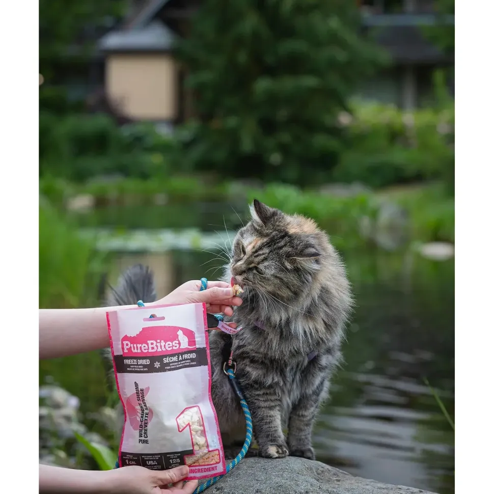 PureBites Wild-Caught Shrimp Freeze-Dried Pure Cat Treats 0.8-oz