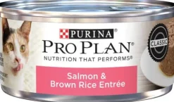 Purina Pro Plan Complete Essentials Salmon & Brown Rice Entrée in Gravy Adult Wet Cat Food 5.5-oz