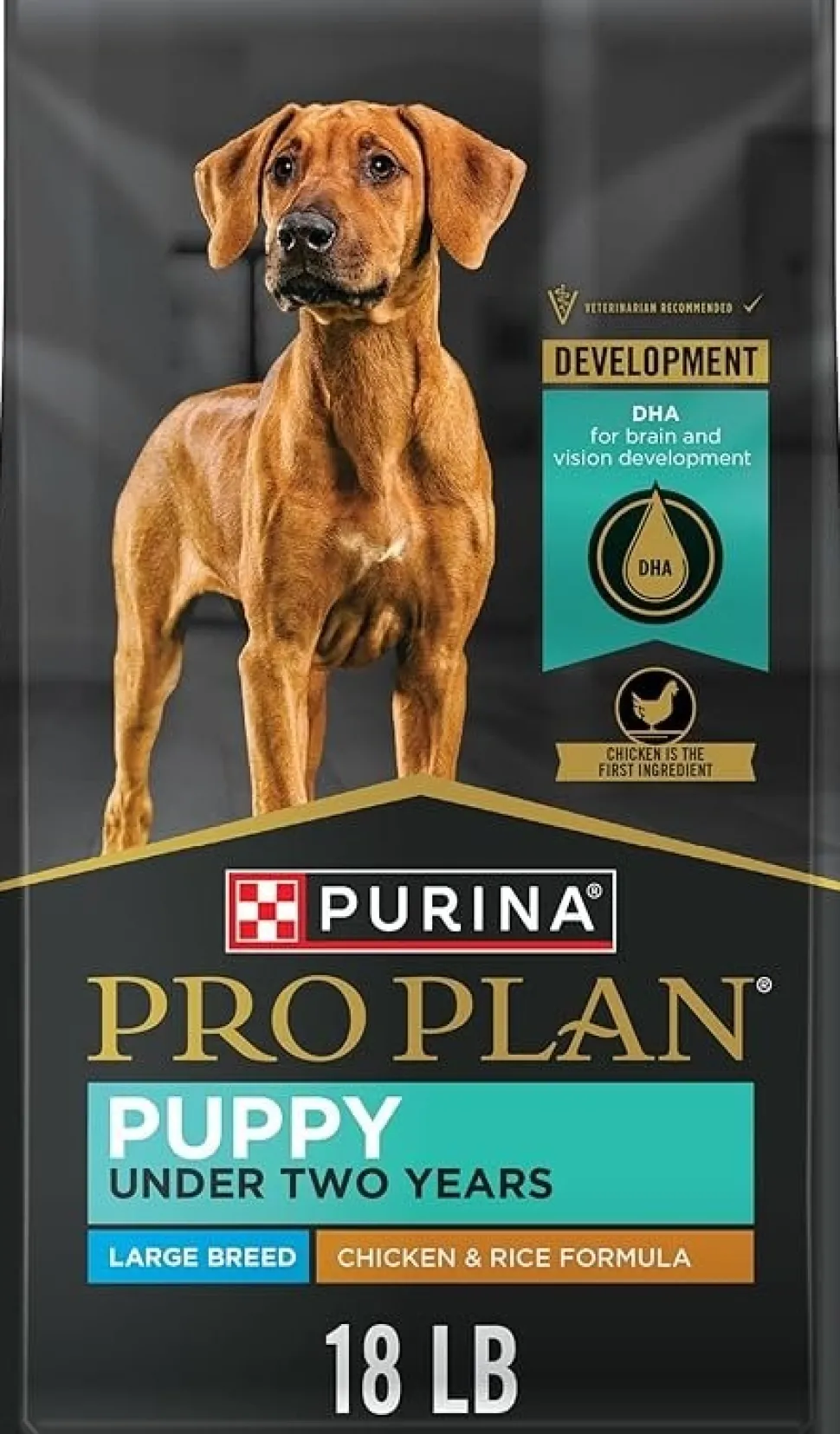 Purina Pro Plan Puppy Large Breed Dry Dog Food Chicken & Rice Formula 18-lb