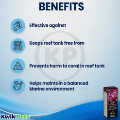 Red Sea RCP Reef Colors A Supplement 16.9-oz