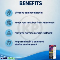 Red Sea Reef Energy Plus AB+ Coral Nutritional Supplement 16.9-oz