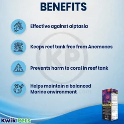 Red Sea Reef Energy Plus AB+ Coral Nutritional Supplement 33.8-oz
