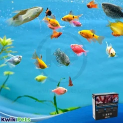 Red Sea Reef Foundation ABC Complete Liquid Supplement Pack 250 ml-each 3 Count