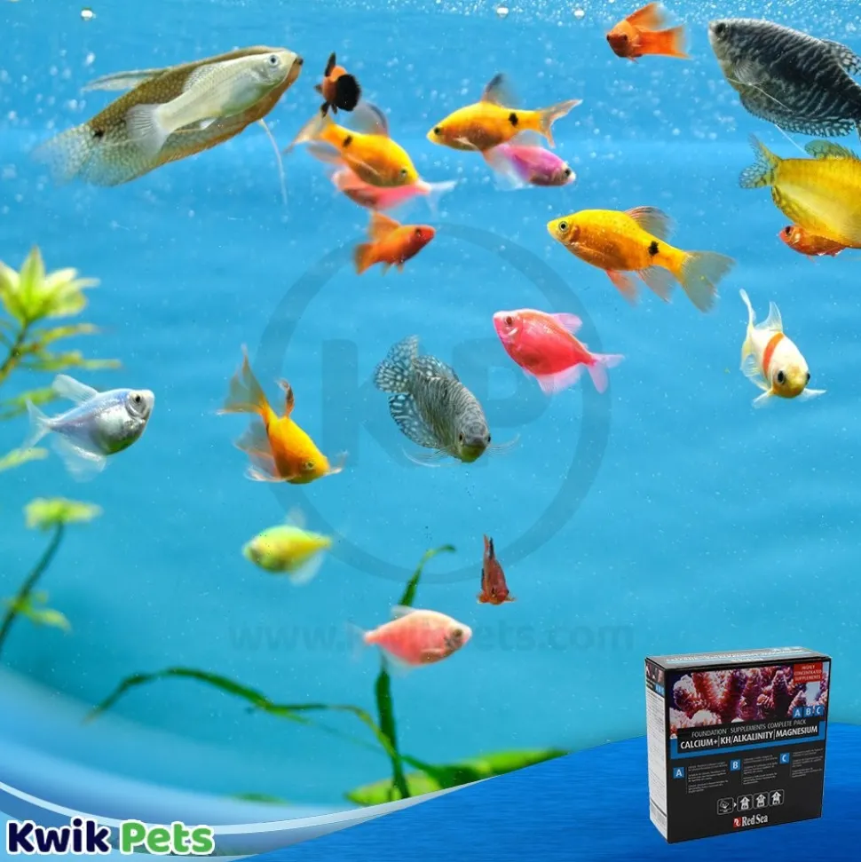 Red Sea Reef Foundation ABC Complete Liquid Supplement Pack 250 ml-each 3 Count
