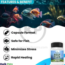 ReefHD Reef Flux Antifungal Fish Medication 10 Capsules