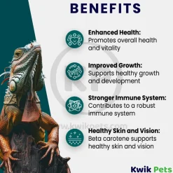 Rep-Cal Research Labs Herptivite with Beta Carotene Multivitamins Reptile Supplement 3.3-oz