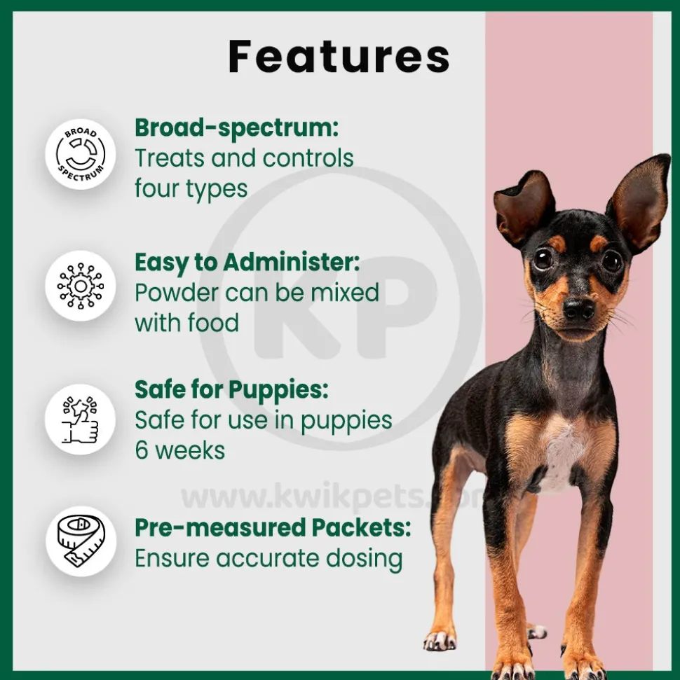 Safe-Guard Canine Dog Dewormer 4 Gram Pouches 3 Count