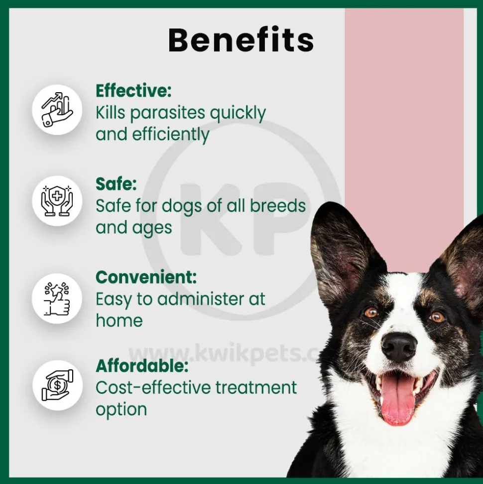 Safe-Guard Canine Dog Dewormer 4 Gram Pouches 3 Count
