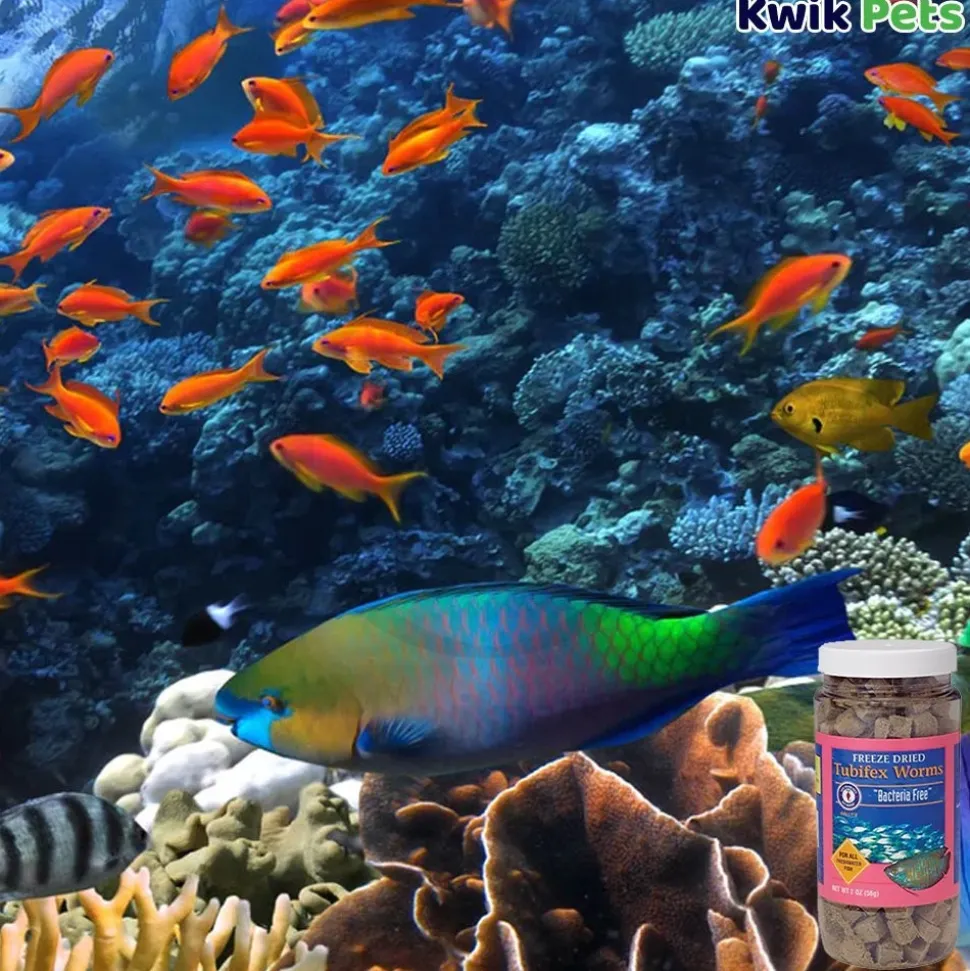 San Francisco Bay Brand Bacteria Free Tubifex Worms Freeze-Dried Fish Food 2-oz