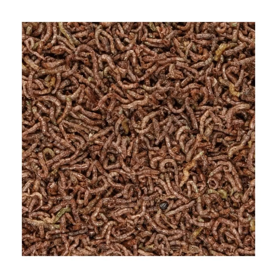 San Francisco Bay Brand Bloodworms Freeze-Dried Fish Food 0.25-oz
