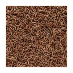 San Francisco Bay Brand Bloodworms Freeze-Dried Fish Food 0.5-oz