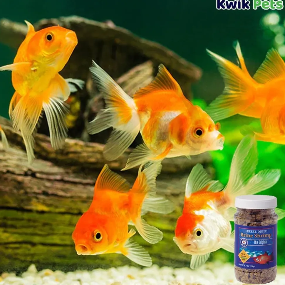 San Francisco Bay Brand Brine Shrimp Freeze-Dried Fish Food 0.7-oz