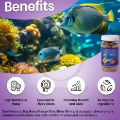 San Francisco Bay Brand Brine Shrimp Freeze-Dried Fish Food 0.7-oz