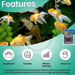 San Francisco Bay Brand Brine Shrimp Hatchery Kit Black