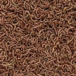 San Francisco Bay Brand Freeze-Dried Bloodworms Betta Fish Food 0.035-oz