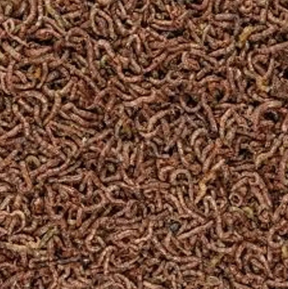 San Francisco Bay Brand Freeze-Dried Bloodworms Betta Fish Food 0.035-oz