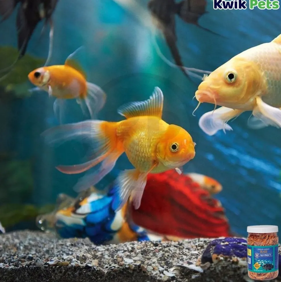 San Francisco Bay Brand Krill Freeze-Dried Fish Food 4-oz