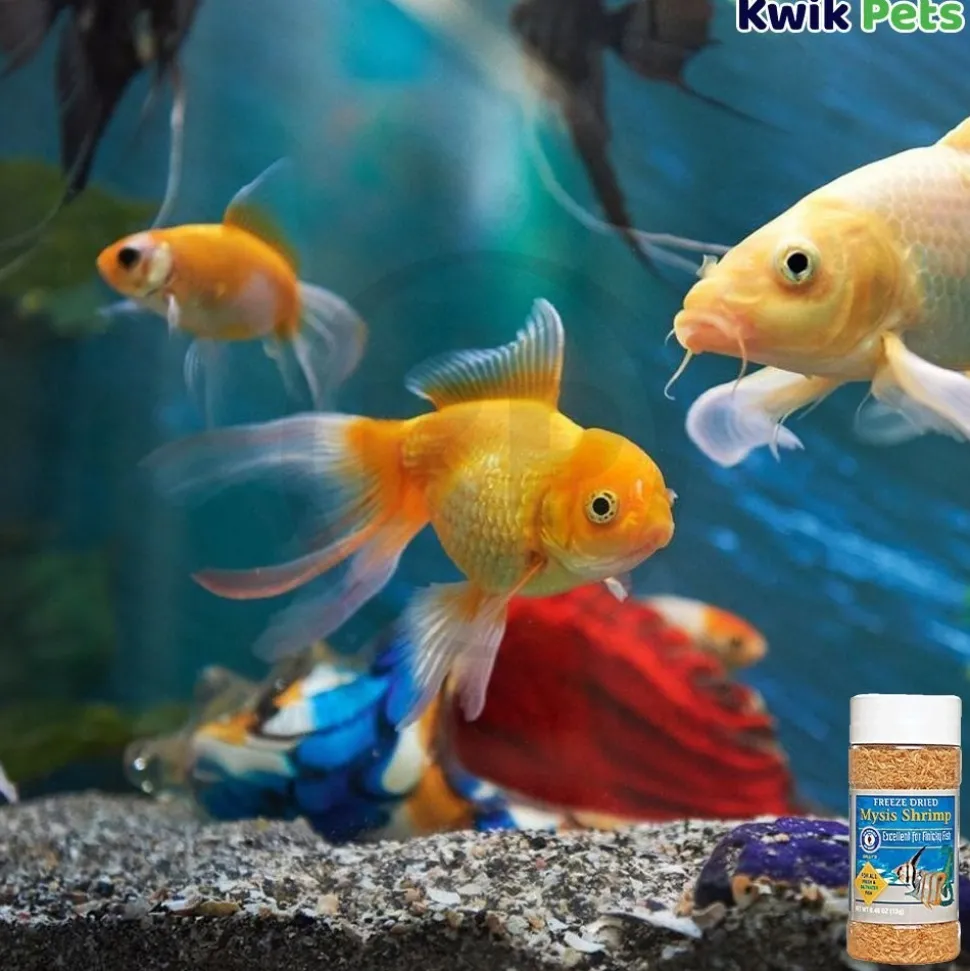 San Francisco Bay Brand Mysis Shrimp Freeze-Dried Fish Food 0.46-oz