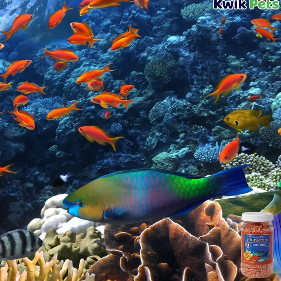 San Francisco Bay Brand Plankton Freeze-Dried Fish Food 1-oz