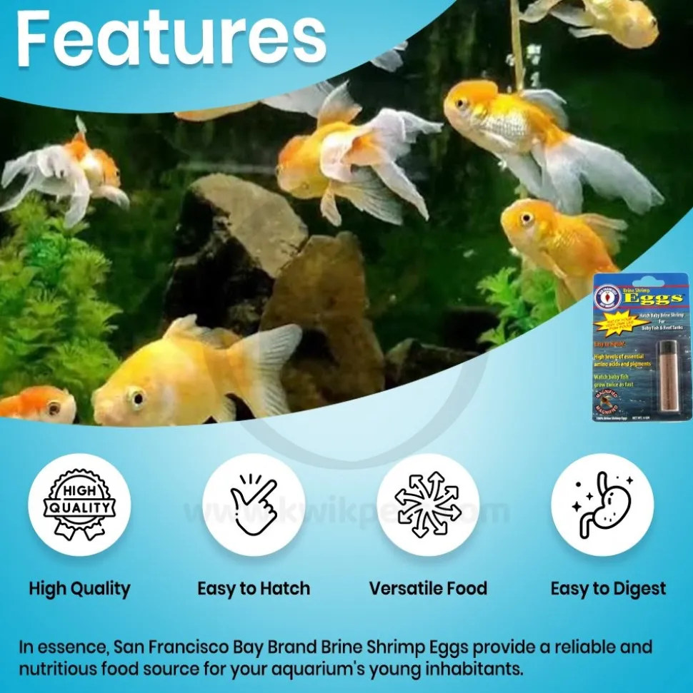 San Fransisco Bay Brand Brine Shrimp Eggs 6 gms
