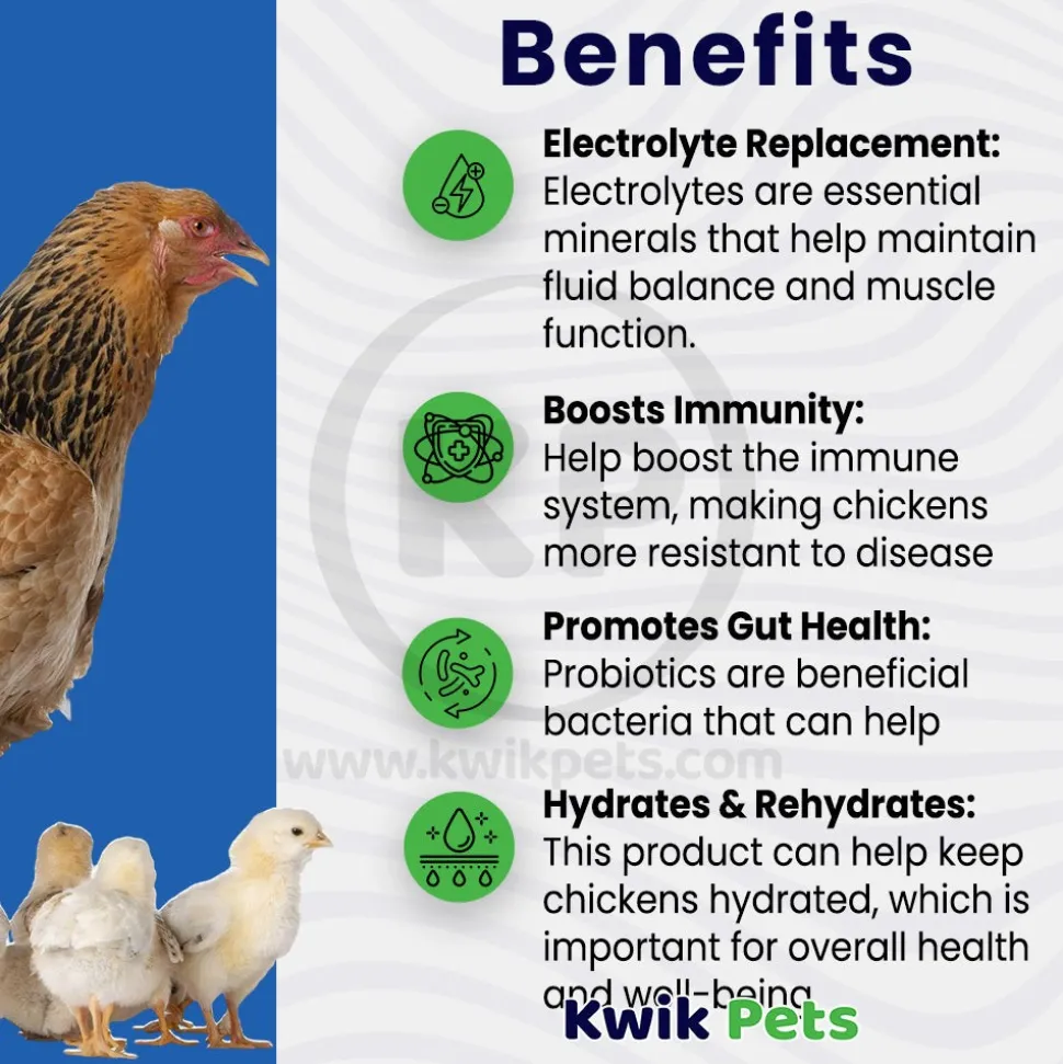 Sav-A-Chick Electrolyte & Probiotic Poultry Supplements Combo Pack 1.26-oz