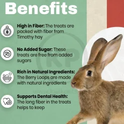 Science Selective Meadow Loops with Timothy Hay & Thyme Rabbit Treats 2.8-oz