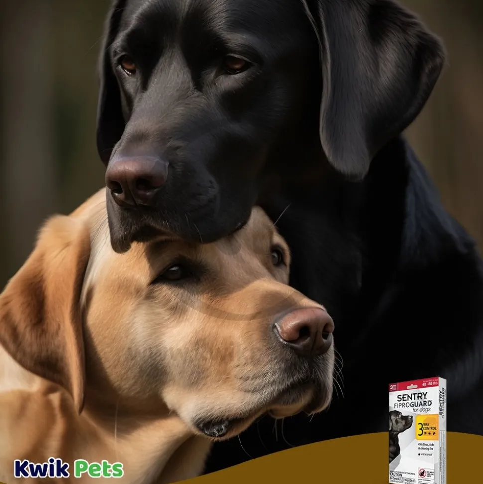 Sentry FiproGuard Flea & Tick Squeeze-on 0.273-oz 3 Count for Dog 45-88 lbs