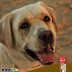 Sentry Petrodex Natural Dental Care Kit for Dogs Peanut Butter Flavor 2.5-oz