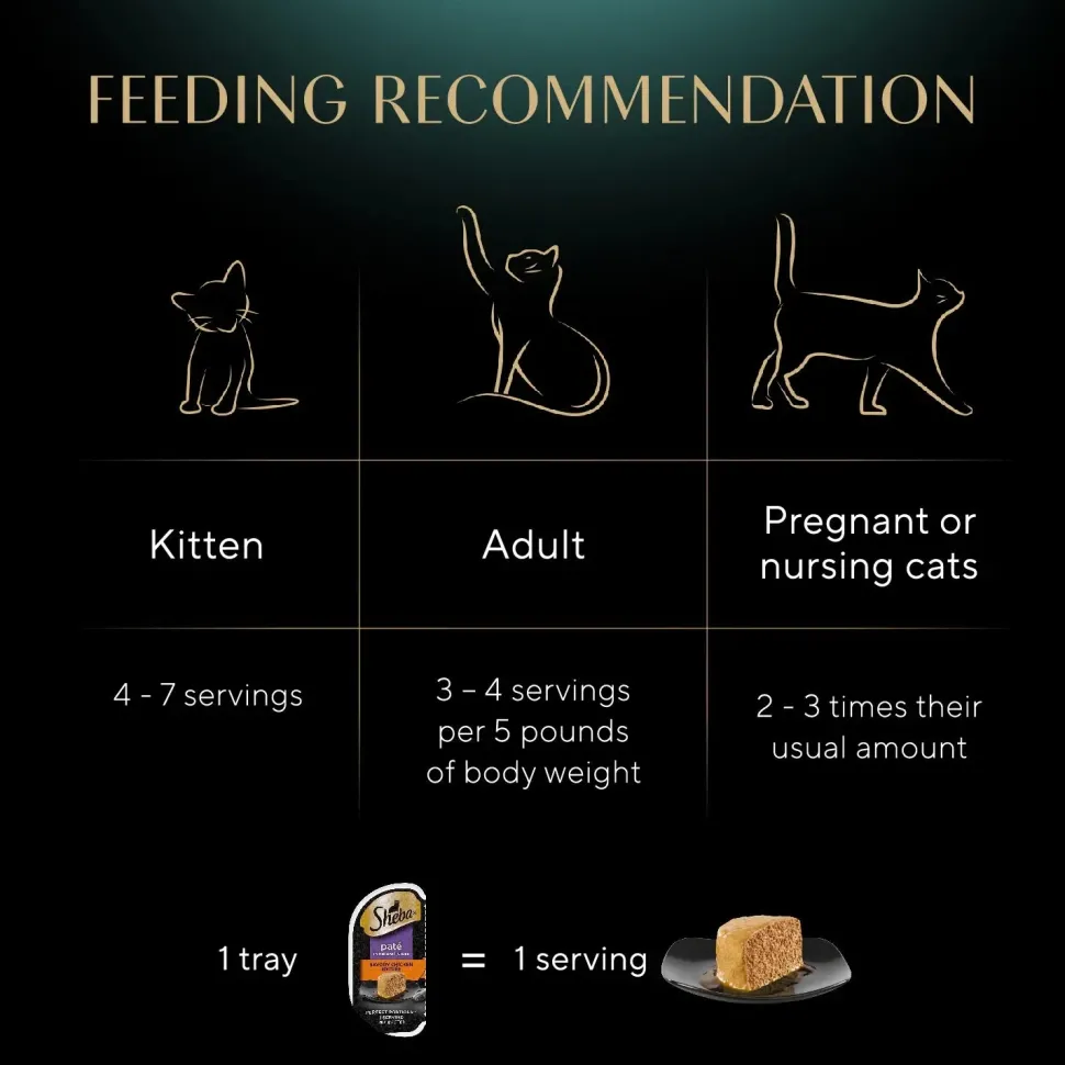 Sheba Perfect Portions Pate Wet Cat Food Savory Chicken 2.6-oz