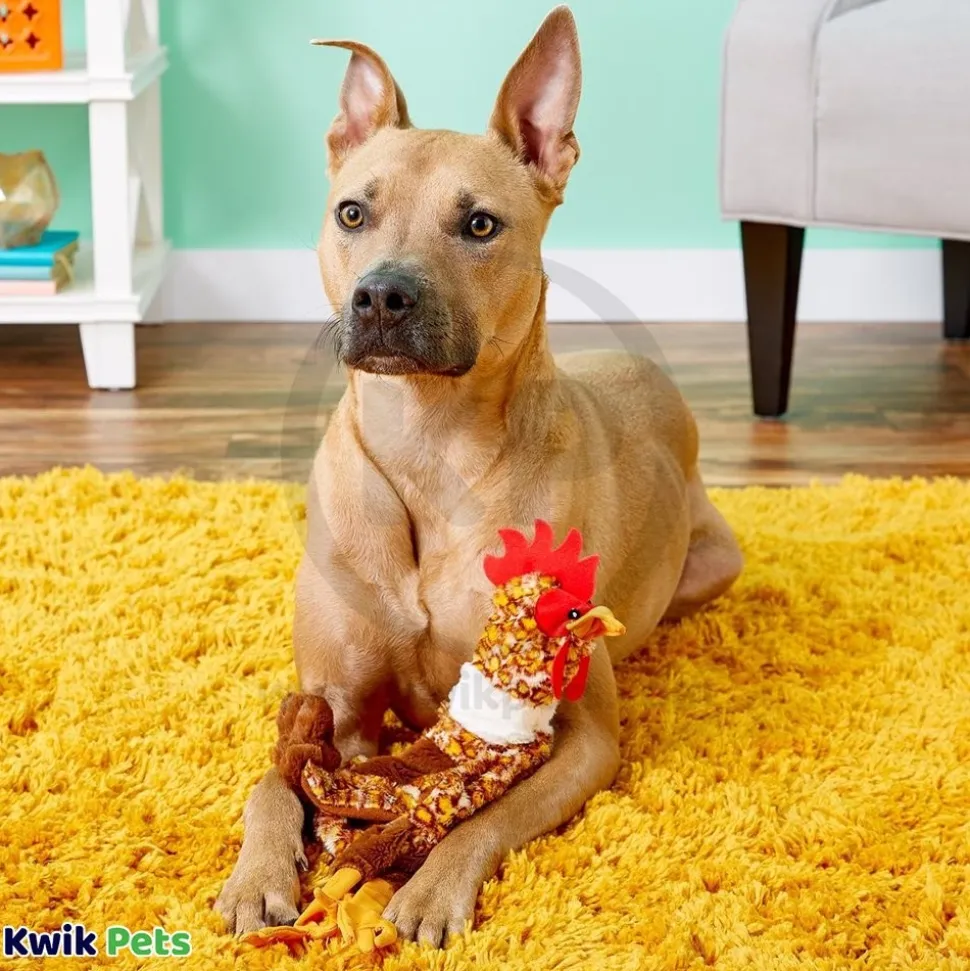 Skinneeez Barnyard Series Dog Toy Chicken Multicolor Mini