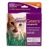 SmartyKat Sweet Greens Cat Grass Seed Kit 1-oz