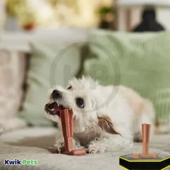 Spot Bam-Bone Plus Dog Chew Beef Small 4-in