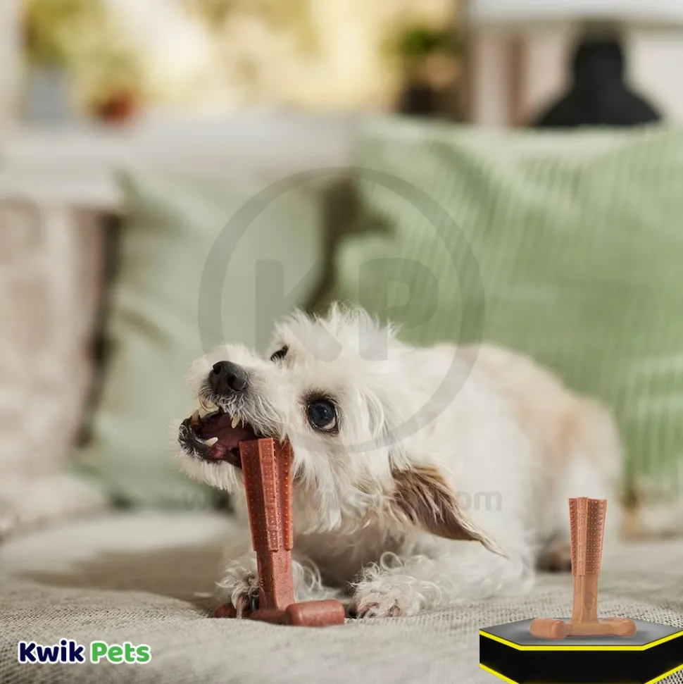 Spot Bam-Bone Plus Dog Chew Beef Small 4-in