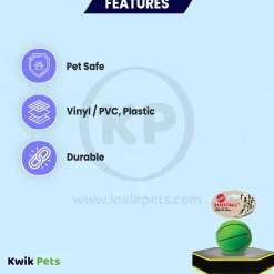 Spot Basketball Dog Toy Assorted 3-in