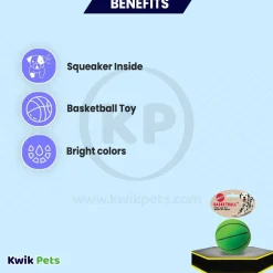 Spot Basketball Dog Toy Assorted 3-in