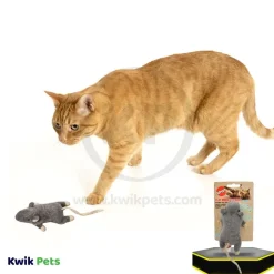 Spot Flat Mouse Frankie Cat Toy with Catnip Assorted 5.5-in