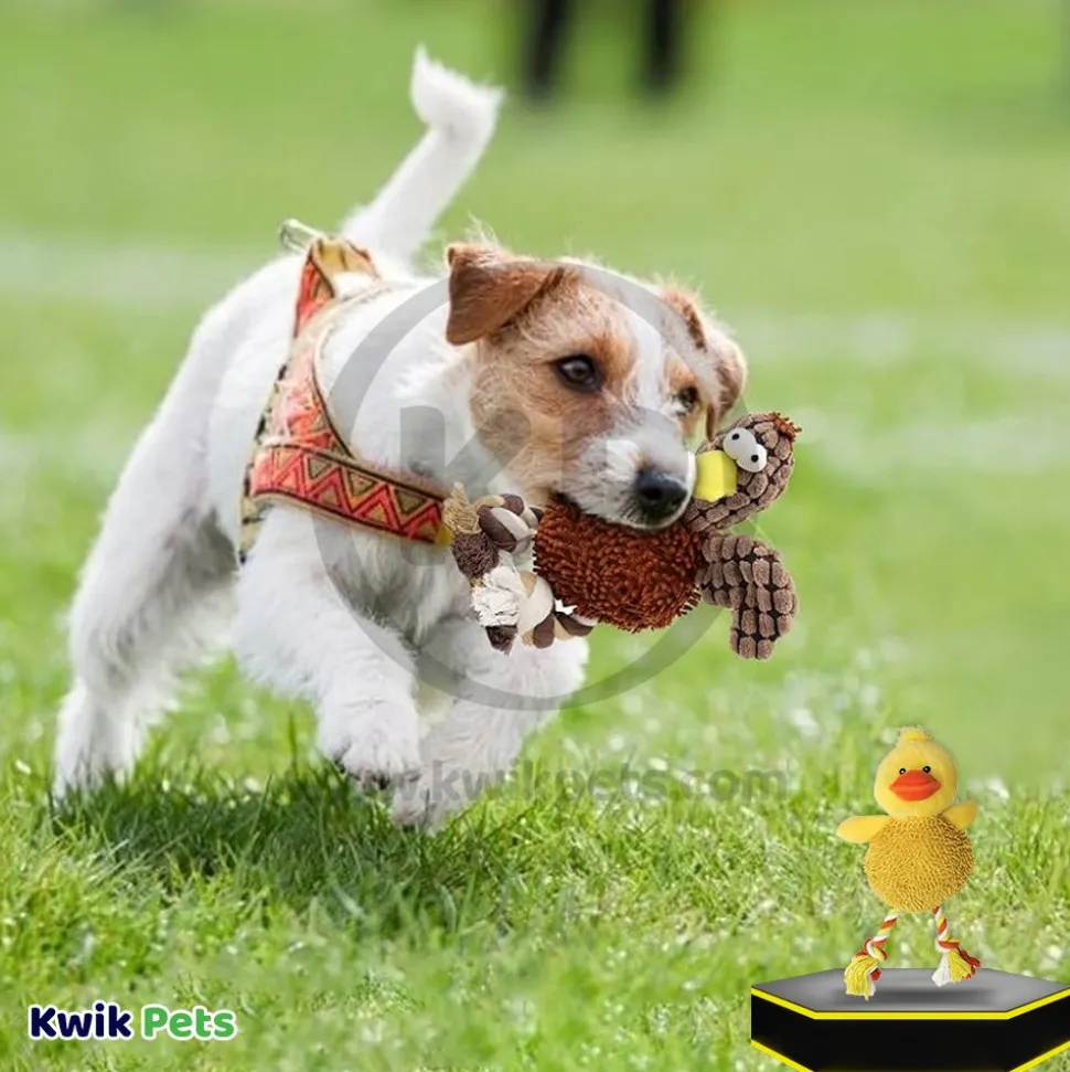 Spot Giggler Pals Plush Dog Toy Assoted 12-in