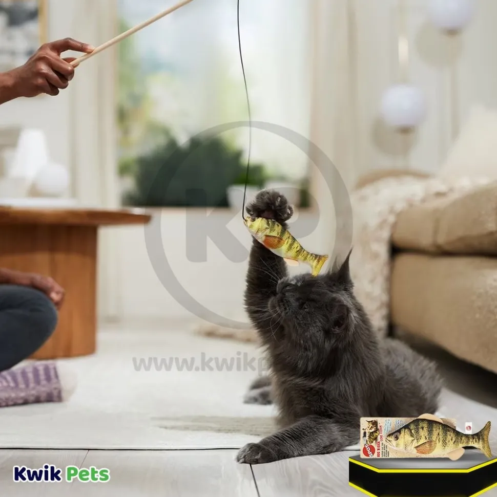 Spot Gone Fishin' Teaser Wand Cat Toy with Catnip Assorted