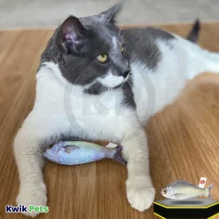 Spot Hug 'N Kick Gone Fishin' Cat Toy with Catnip Assorted X-Large